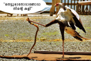 Fb Funny Image Share In Malayalam