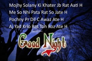 Good Night SMS Image In Hindi Fb Share