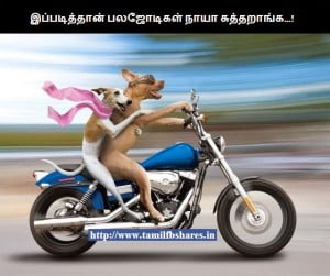 Jodi No 1 Tamil Funny Picture Share