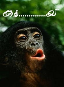 Funny Monkey Scrap Image In Malayalam Share