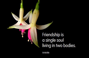 English Friendship Quotes For Fb Share