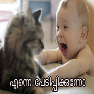 Enne pedippikkunno Malayalam Funny Fb Share