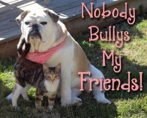 Nobody Bullys My Friends ! Fb Share Image