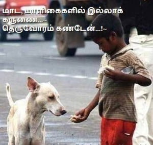 Tamil Best Affection Line Fb Share