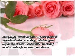 Rose Image Malayalam Viraham Fb Share