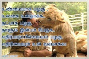 Beautiful Lines For Tamil Fb Share