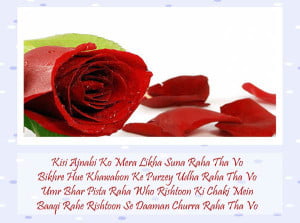 Shayari Love In Hindi For Facebook