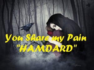 Hamdard - You Share My Pain