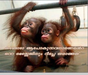 Funny Scraps Image In Malayalam