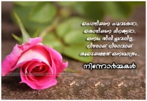 Rose Love Picture greetings Fb Share