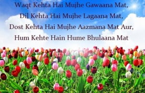 Hindi Dosti Shayari Wallpaper