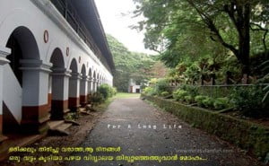 College Life Quotes Malayalam