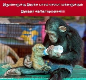 Pasam Tamil Funny Image 