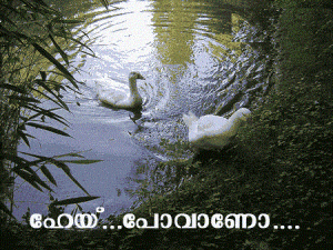 Hey..... Poovaanoo.... Malayalam Scrap Image