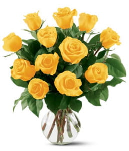 Yellow Roses Pot Picture For Fb Share