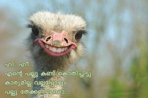 Funny Scrap Image In Malayalam