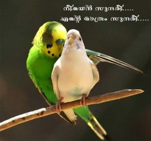 Malayalam Funny Images In Love