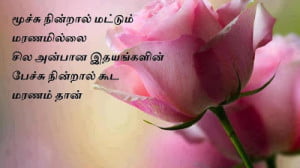 Tamil True And Nice Lines