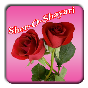 Hindi Shayari Love