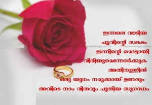 Malayalam Love Image With Rose