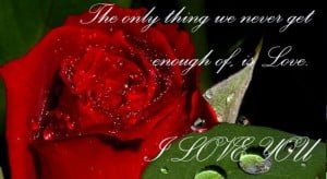 I Love You Image With Rose