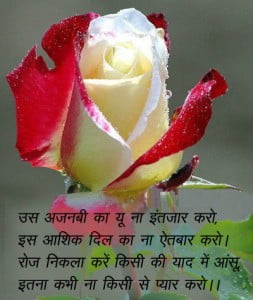 Sad Love Shayari In Hindi With Image