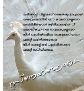 Love Malayalam Quotes Facebook Share