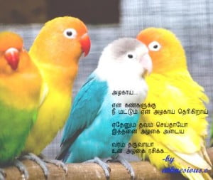 Love Birds Image Share