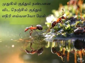 Tamil Quote Image Share