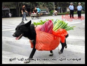 Malayalam Funny Photos Share