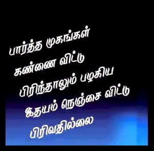 Tamil Best Love Quotes For Facebook