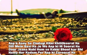 Hindi Shayari With Romantic Love Pictures