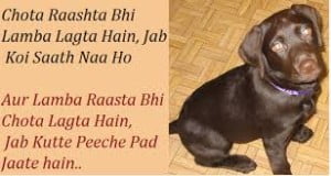 Funny Friendship Quotes Hindi