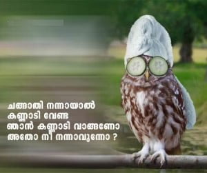 True Love Malayalam