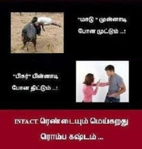 Maadu vs Figure Funny Photos