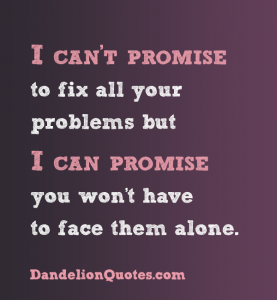 I Can't Promise To Fix All Your Problems