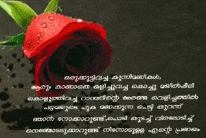 Red Flowers Rose Romantic Love Quotes