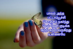 Butterfly Quote In Tamil