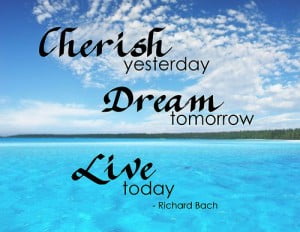 Life Quote By Richard Bach