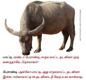 Superb Joke Tamil Funny Mems